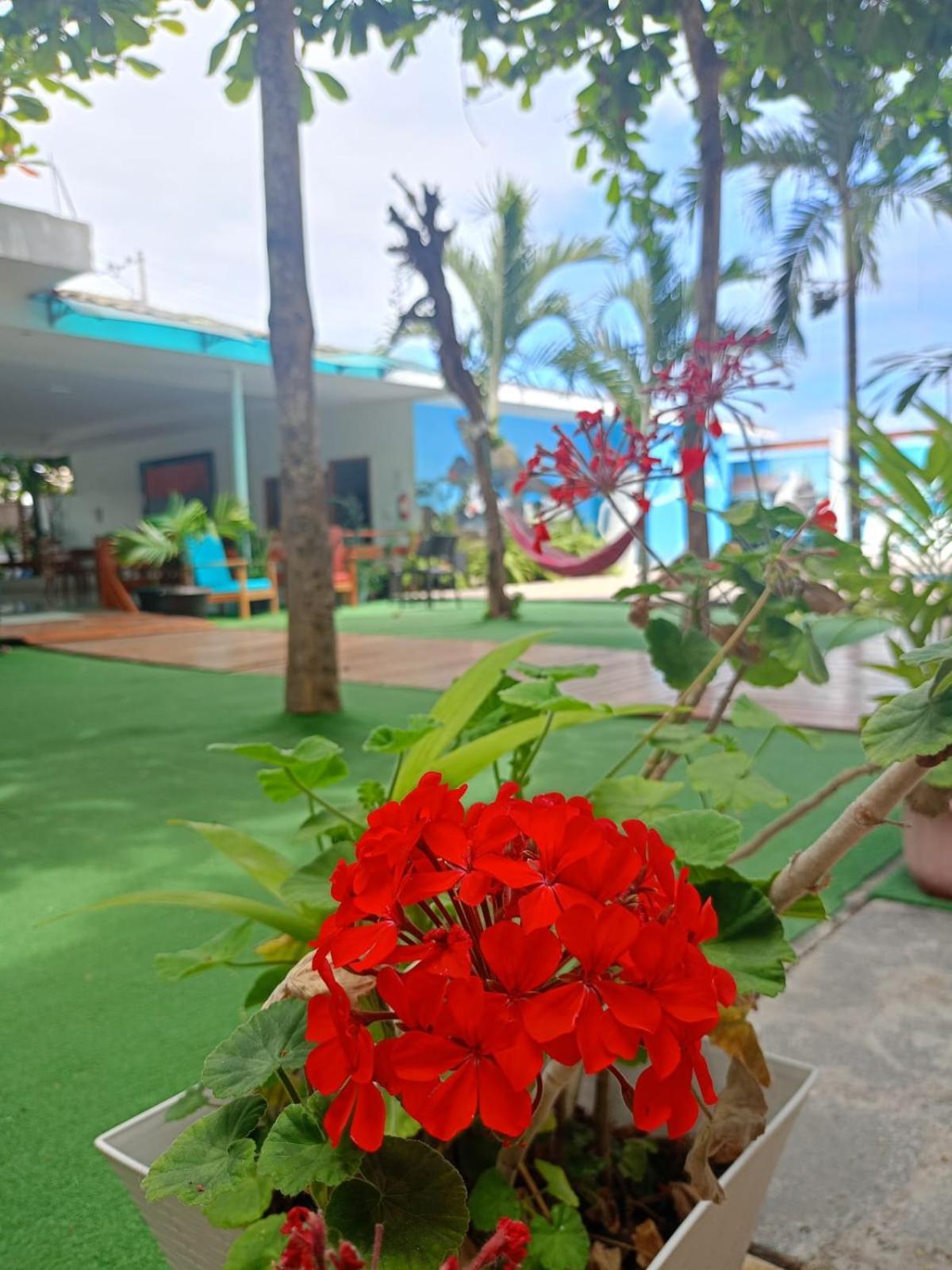 Galapagos Isabela Hotel Loja Puerto Villamil Exterior foto